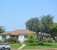 Семейный номер Deluxe в LAX Teresa B&B