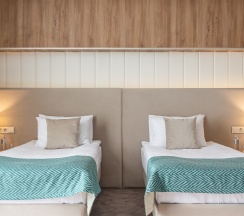 Делюкс Плюс в Вилла Альпина