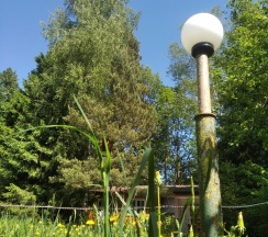 Коттедж стандарт в Loza Resort
