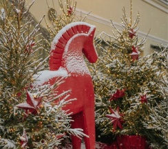 Люкс с двумя спальнями в Гимназия №5