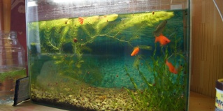 Иркутск: Хостел Иркутск