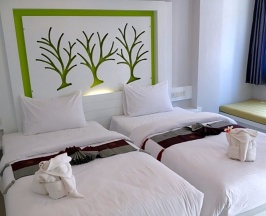 Двухместный номер Standard 2 отдельные кровати в The Silk Hill Hotel