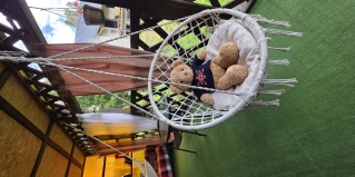 Горно-Алтайск: Гостевой дом Чудесное место