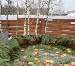 Garden-2 | Банный чан в Барские Поля