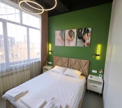 206. Эконом двухместный Green в Точка притяжения