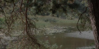 Бурцево: Глэмпинг Villy uley volga