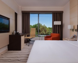 Номер стандарт с 1 двуспальной кроватью в DoubleTree by Hilton Moscow-Vnukovo Airport