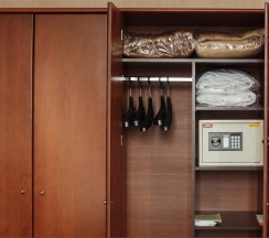 Бизнес класс комфортный с двумя кроватями/ или одной широкой кроватью и диваном-кроватью в Бенефит Плаза