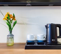 Двухместный номер с окнами в атриум в Особняк Юргенса