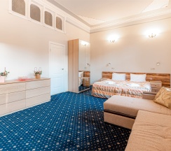 Комфорт в Александр Hotel