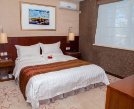Номер Superior в SoLuxe Hotel Almaty
