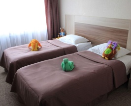 Номер стандарт эконом в Престиж