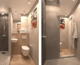 Номер 3 Люкс в Green Hotel