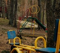 Коттедж стандарт Медвежья лапа в Панорама Дигория