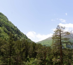 Люкс в Крокус