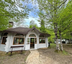 Люкс без балкона в Black Rock Garden