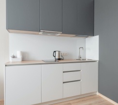 1-комнатные апартаменты стандарт Санкт-Петербург, Заозерная 3, к.1, стр.1 в Art Apart