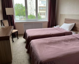 Номер стандарт эконом в Престиж