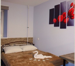 Tulip в Radar Hostel