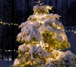 Дом №3 в Deep Lake House