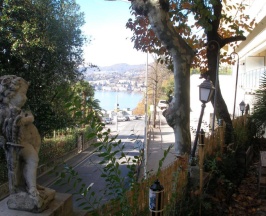 Двухместный номер Standard с видом на озеро 2 отдельные кровати в Hotel Firenze Lugano