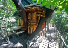 Семейный люкс в Khao Sok Tree House