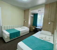 Полулюкс с двумя раздельными кроватями в Везендорф