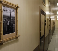 Эконом плюс в Hotel Ring
