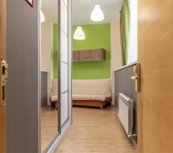 Апартаменты Люкс (Однокомнатный 2-х местный номер c кухней без балкона) в Odeon