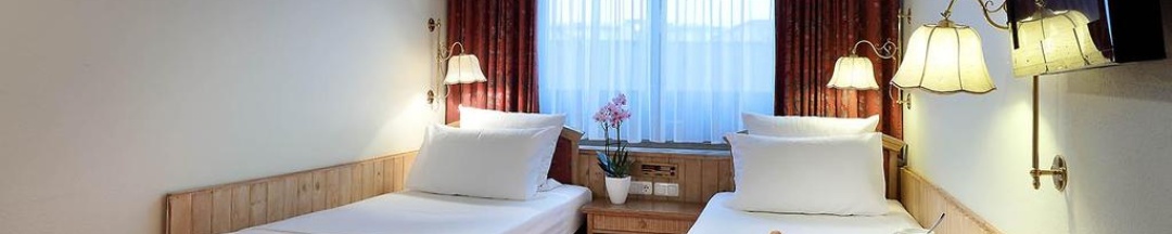 Двухместный номер Economy 2 отдельные кровати в Hotel Regent
