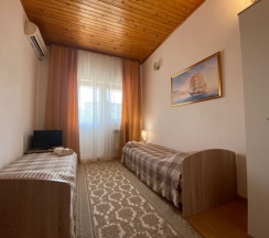 Двухместный номер Standard с балконом и с красивым видом из окна 2 отдельные кровати в Александра