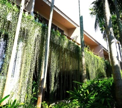 Двухместный номер Deluxe с видом на бассейн двуспальная кровать в Signature Phuket Resort