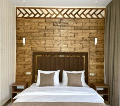 Стандартный двухместный номер в Снега