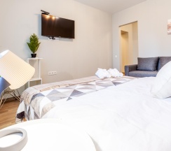 1-комнатные апартаменты стандарт (мансарда) в RentPlaza