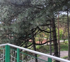 Люкс с красивым видом из окна в Надежда