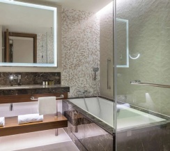 Двухместный номер Guest (двуспальная кровать) в Hilton Batumi