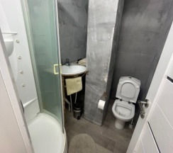 Стандарт в В лесу