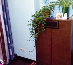 Двухместный номер Economy с видом на внутренний двор (двуспальная кровать) в Квартирное бюро