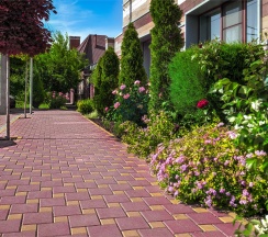 СТАНДАРТ ПЛЮС в Tesoro