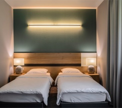 Делюкс в Freezone inn