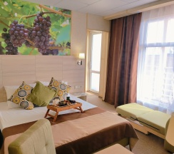 Трехместный Комфорт с террасой в Лоза Хутор All inclusive&SPA