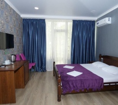 Двухместный номер Standard с балконом двуспальная кровать в Панорама