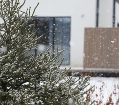 Домик в Саду  1 этаж в Долина мечтателей