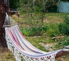 Дом в Елисей