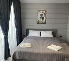 Дом VIP 2 CHANEL в Зольное Вилладж