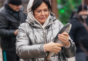 Турбаза Форельное в Теберде