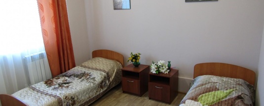 Номер стандарт с 2 односпальными кроватями в Вингс