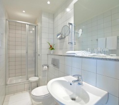 Одноместный номер Standard в Hotel Viktoria