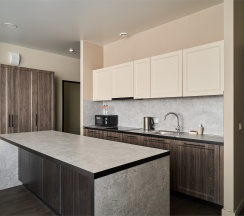 Business Suite в Radius Central House by Огни Rent