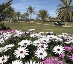 Апартаменты в La Manga Club Resort - Bellaluz 4
